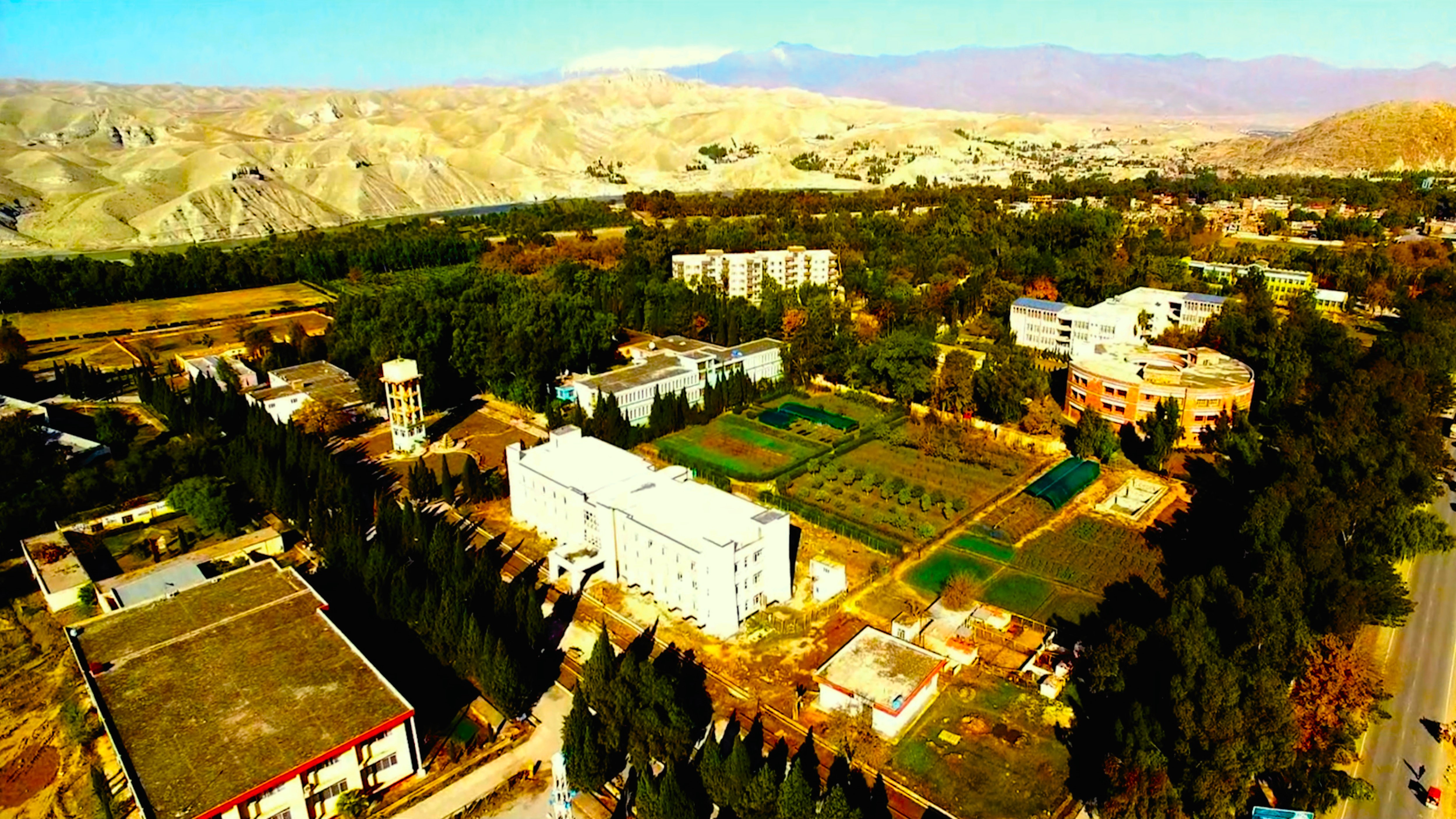 انځور